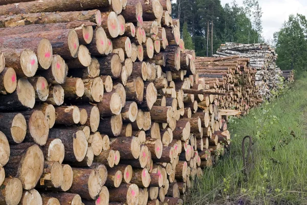 Cortar árboles en la naturaleza de fondo —  Fotos de Stock