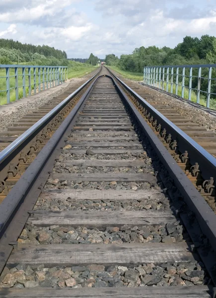 自然の背景を持つ鉄道のための金属の手すり — ストック写真