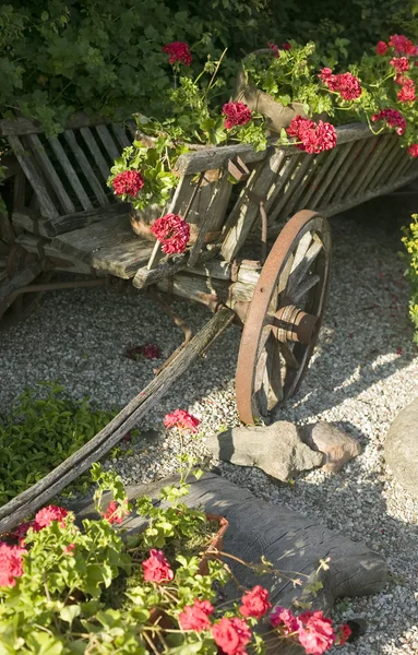 Viejo carro de madera lleno de flores — Foto de Stock