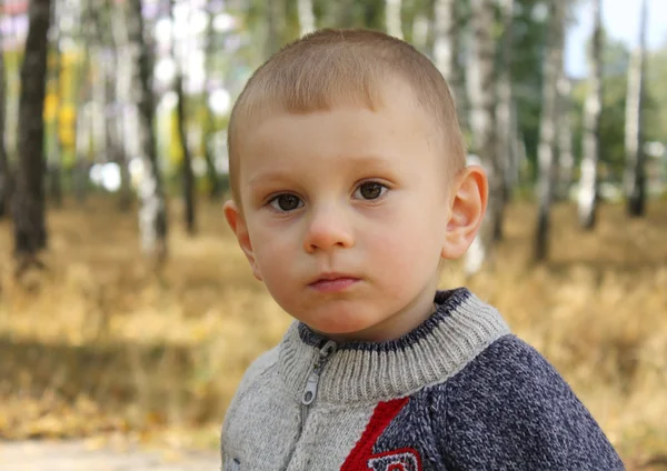 Маленький мальчик на прогулке в парке — стоковое фото