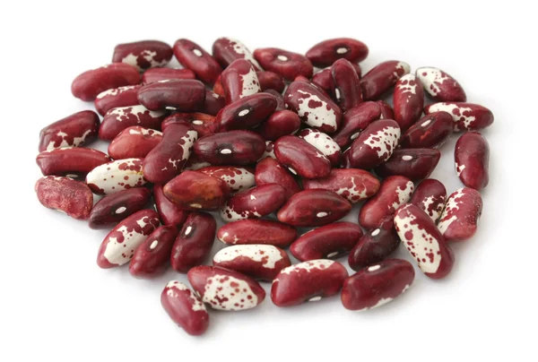마른 빨간 신장 콩 — 스톡 사진