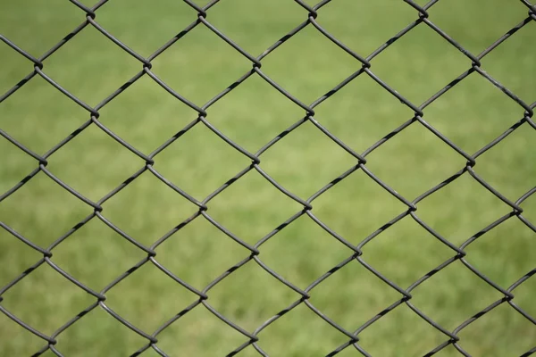 stock image Metal grid on a green background