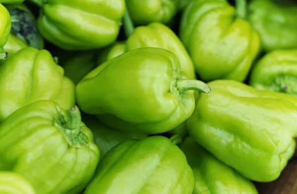 stock image Green pepper