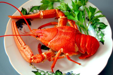 Boiled crayfish on lettuce clipart