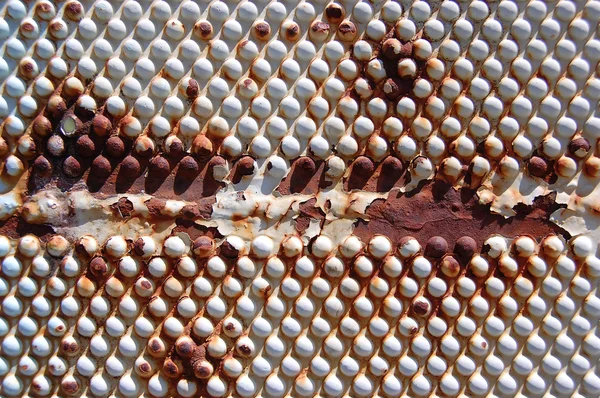 Textur aus Metall mit rostigen Nieten — Stockfoto