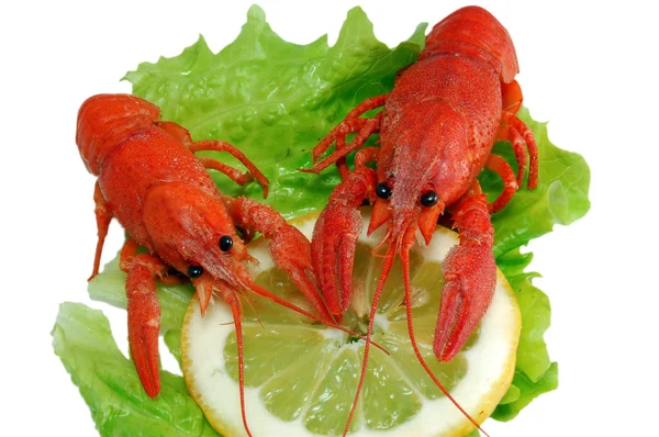 对生菜和柠檬汁煮的 crayfishs — 图库照片