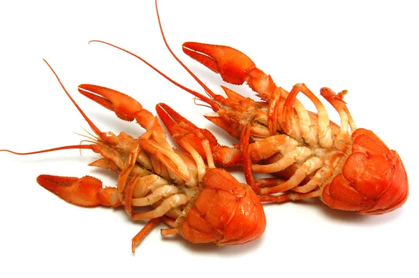 Gekookte crayfishs head over heels — Stockfoto