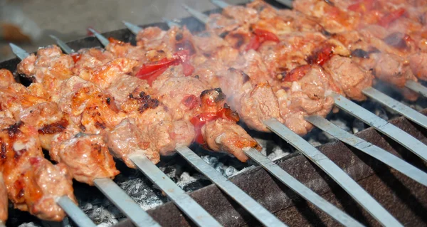 Kebabs shish grillés juteux — Photo