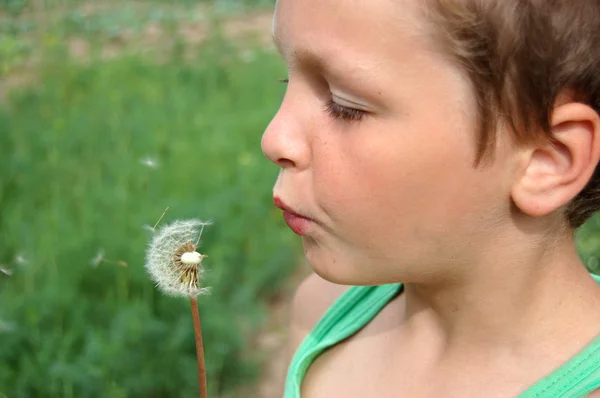 stock image Boy and dandelion