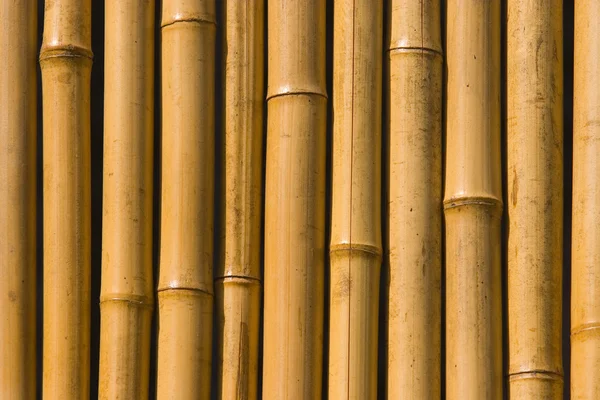 竹の背景 — ストック写真
