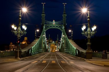 Özgürlük Köprüsü Budapeşte