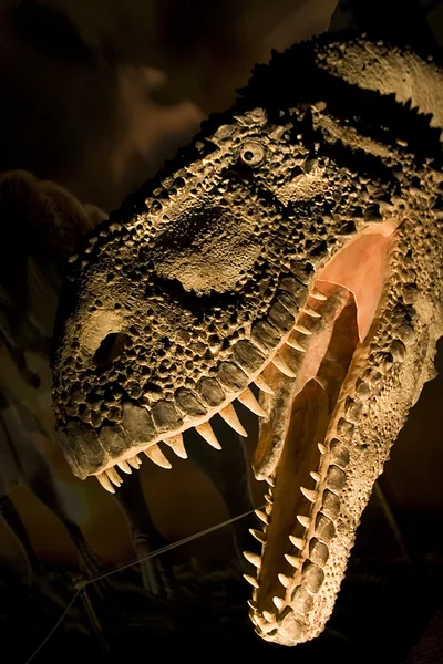 T-rex — Fotografia de Stock