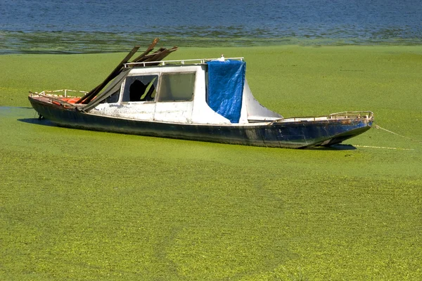 Barca în deșertul verde — Fotografie, imagine de stoc