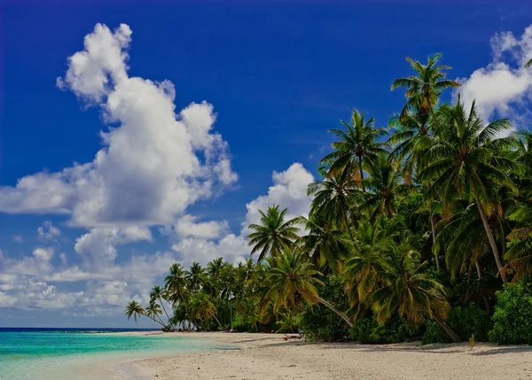 Tropische Insel Stockfoto