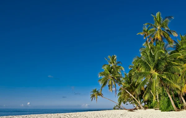 熱帯の島のビーチ ストック画像