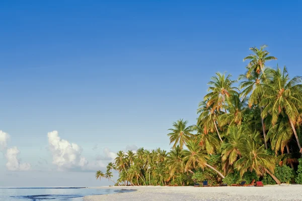 Playa en isla tropical —  Fotos de Stock