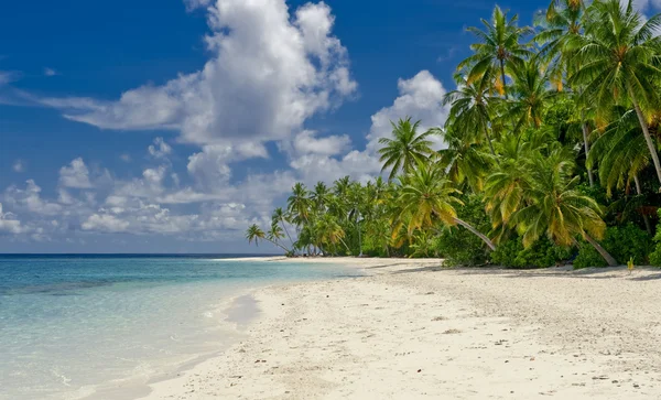 Strand op het tropische eiland — Stockfoto