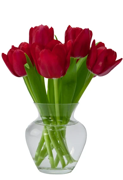 Uspořádání červené tulipány v skleněná váza — Stock fotografie