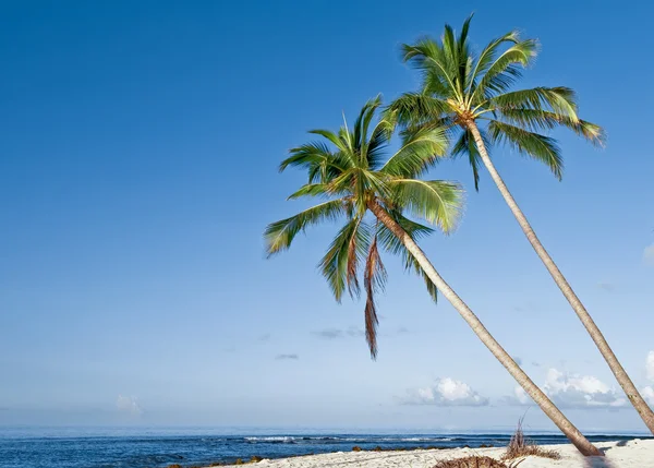 熱帯の島のビーチ ストック画像
