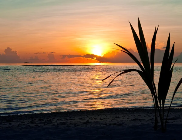Sonnenuntergang auf einer tropischen Insel lizenzfreie Stockbilder