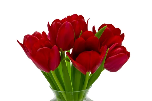Uspořádání červené tulipány v skleněná váza Stock Obrázky