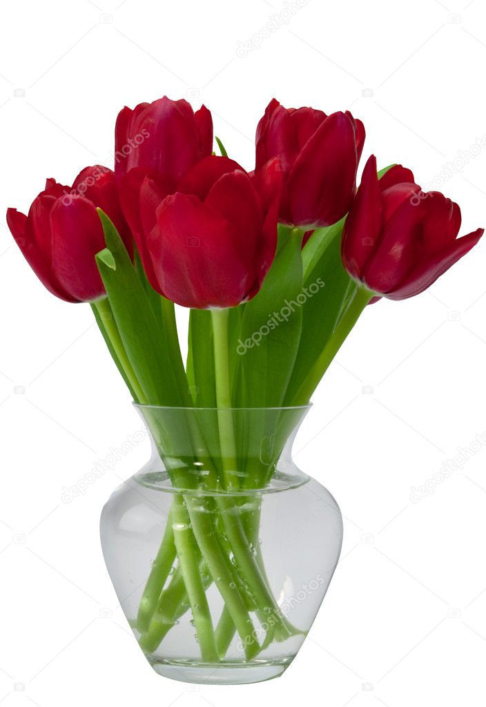 Arrangement of red tulips in glass vase