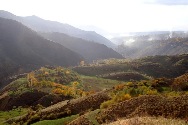Осень в горах . — стоковое фото