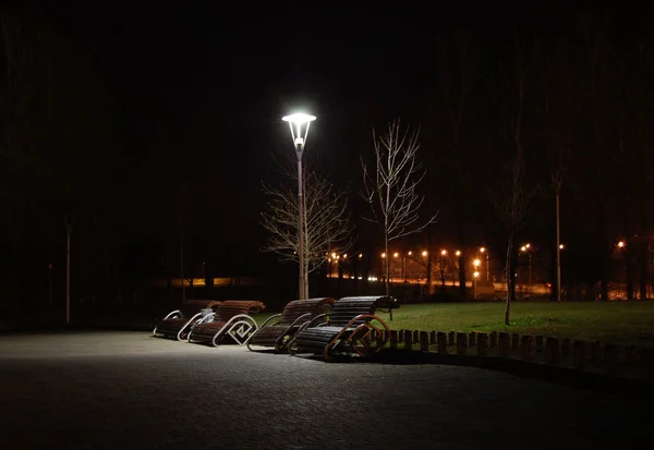 밤 공원 — 스톡 사진