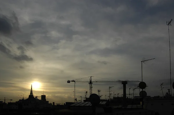 Sky jungle