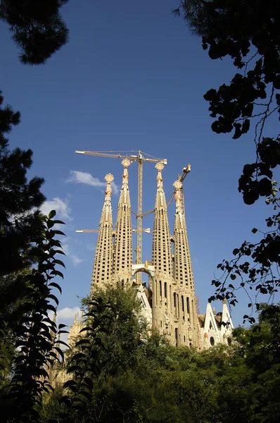 Sagrada Familia 2 — Zdjęcie stockowe