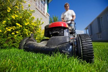 Mow the lawn clipart