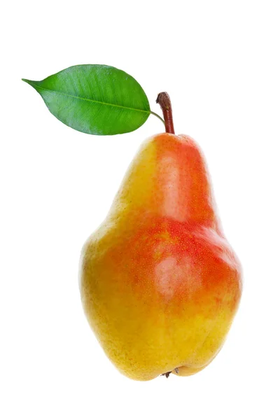 stock image Pear