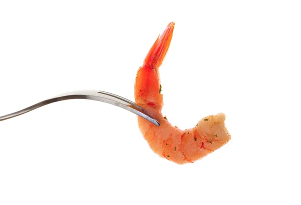 Jumbo shrimp — Stock Photo, Image