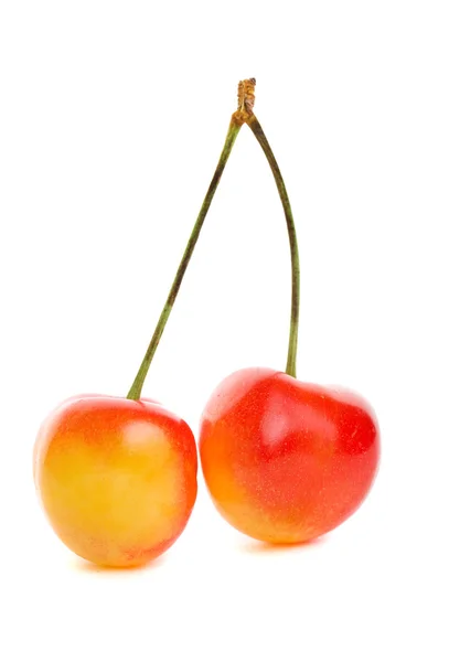 stock image Rainier cherries