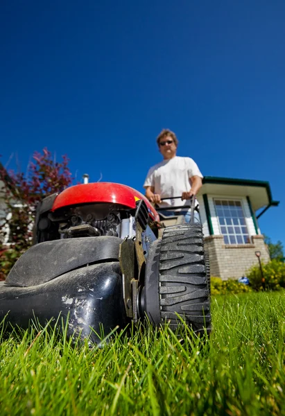 Front lawn mow — Stock Photo, Image