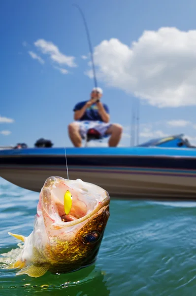 Pesca desportiva — Fotografia de Stock