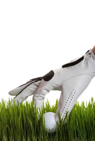 Recuperação de bola de golfe — Fotografia de Stock