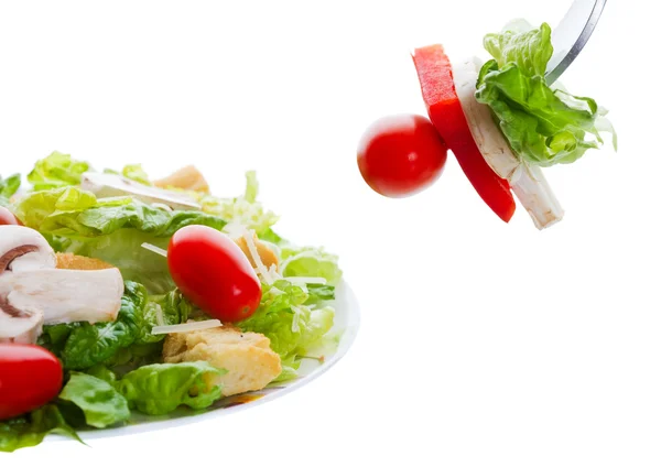 Salad appetizer — Stock Photo, Image