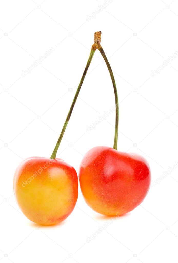 Rainier cherries