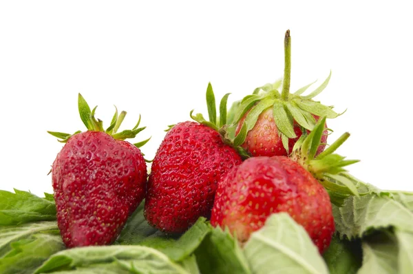 Strawberry on white — Stock Photo, Image