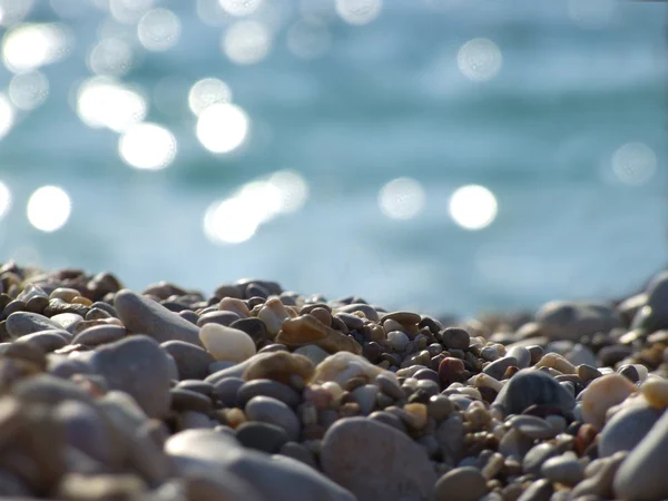 Stock image Sea stones