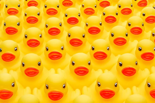Exército de pato de borracha — Fotografia de Stock