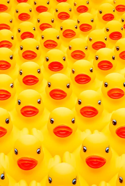 Ejército de pato de goma — Foto de Stock