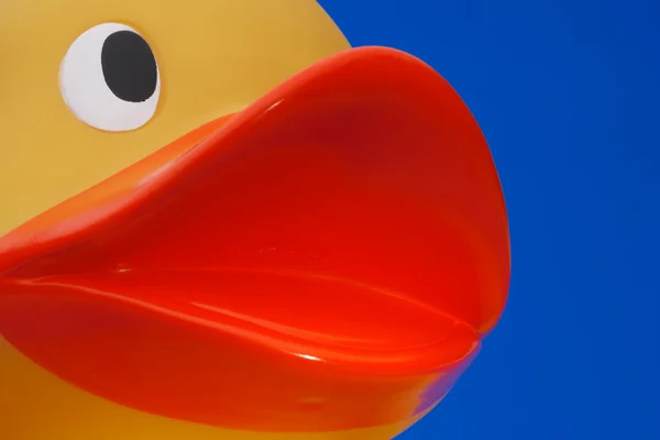 stock image Closup of rubber duck