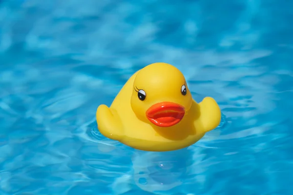 Pato de goma nadando — Foto de Stock