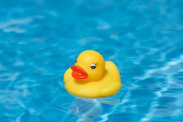 Gumowe kaczki pływanie — Zdjęcie stockowe