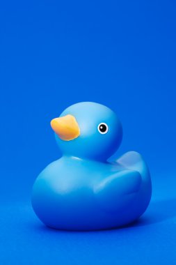 Blue Rubber Duck on blue background clipart