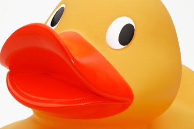 Yellow rubber duck clipart