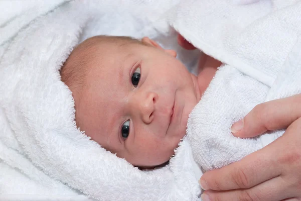 Newborn in towel — Stock Photo, Image