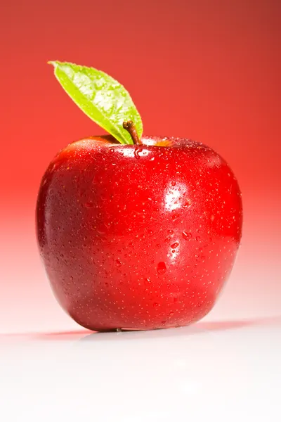 Красный Apple крупным планом — стоковое фото